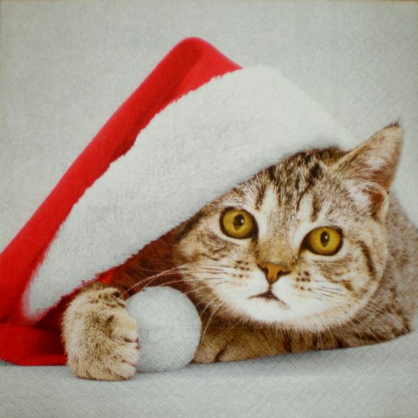 062 Katzen - 3-lagig - Paper Design